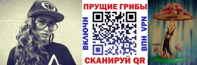 Псилоцибиновые грибы мицелий  Грайворон 