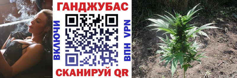 Шишки марихуана конопля Грайворон